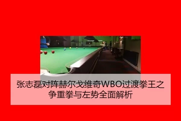 张志磊对阵赫尔戈维奇WBO过渡拳王之争重拳与左势全面解析
