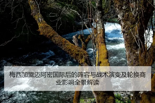 mei-xi-jia-meng-mai-a-mi-guo-ji-hou-de-zhen-rong-yu-zhan-shu-yan-bian-ji-lun-huan-shang-ye-ying-xiang-quan-jing-jie-du-2-586.jpg