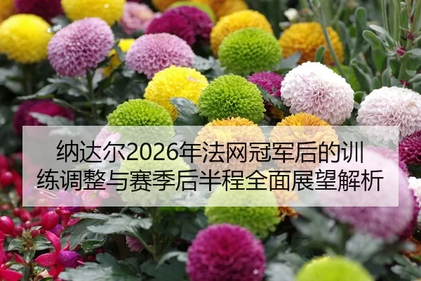 na-da-er-nian-fa-wang-guan-jun-hou-de-xun-lian-tiao-zheng-yu-sai-ji-hou-ban-cheng-quan-mian-zhan-wang-jie-xi-2-492.jpg