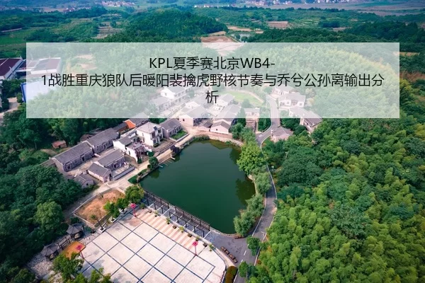 KPL夏季赛北京WB4-1战胜重庆狼队后暖阳裴擒虎野核节奏与乔兮公孙离输出分析